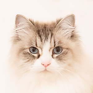 Votre photographe pour vos photos de tourisme - herbergement - gite - hotel